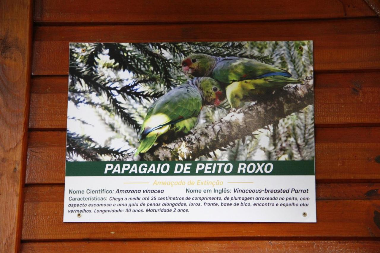 Recanto Da Mata Pousada Sao Francisco de Paula  Ngoại thất bức ảnh