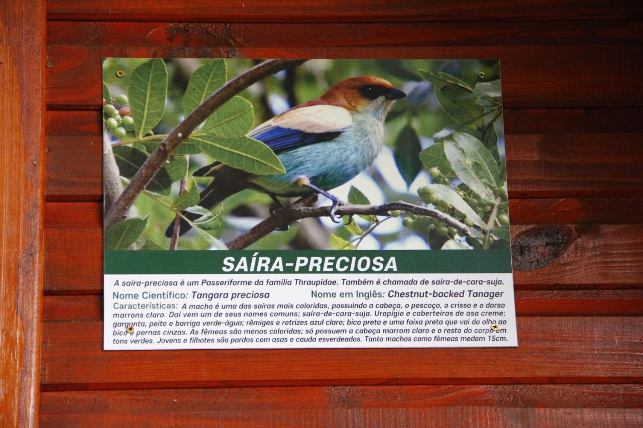 Recanto Da Mata Pousada Sao Francisco de Paula  Ngoại thất bức ảnh