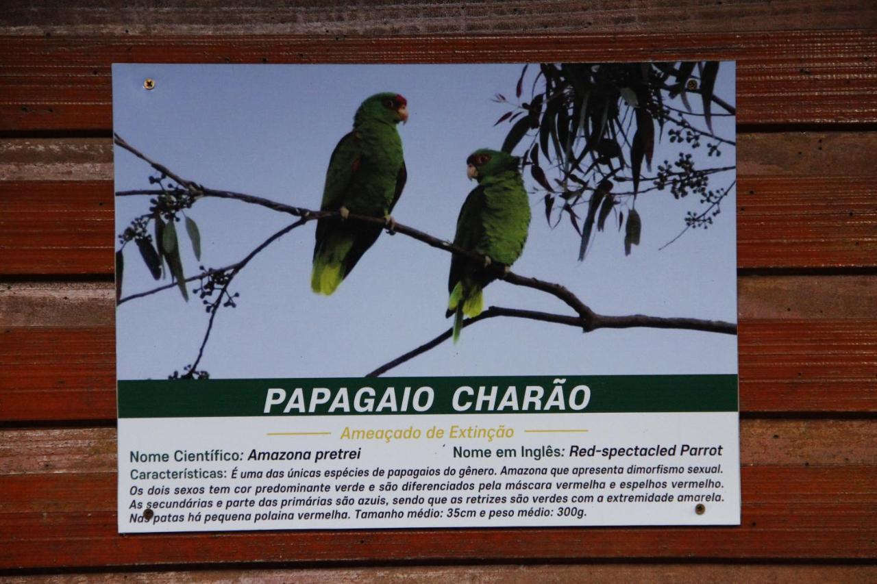 Recanto Da Mata Pousada Sao Francisco de Paula  Ngoại thất bức ảnh