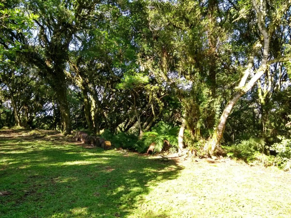 Recanto Da Mata Pousada Sao Francisco de Paula  Ngoại thất bức ảnh