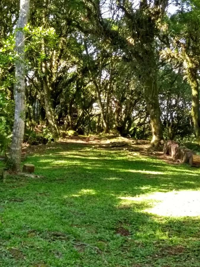 Recanto Da Mata Pousada Sao Francisco de Paula  Ngoại thất bức ảnh